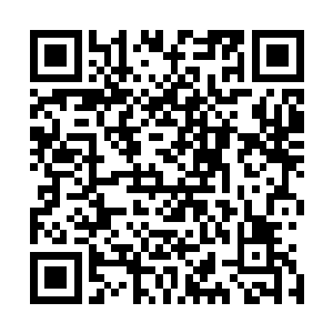 而是迅速地在自己千符峰真传弟子和林徘虞兄妹的身边掠过二维码生成