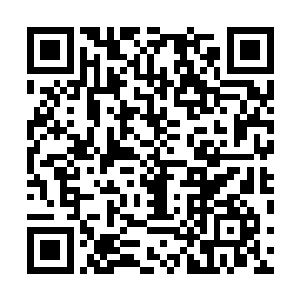 而是这拉蒂西娅和梅根福克斯她们都有一个极大的共同点二维码生成