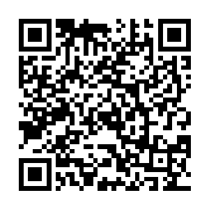而是这种琼浆可以将难以化解的金丹药性完全催发出来二维码生成