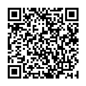 而是连俩飞行员回头看看那飞机都很不好意思的跑了二维码生成