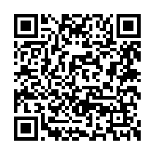 而是选择将卷轴中的能量凝聚成了一根祈愿之柱二维码生成