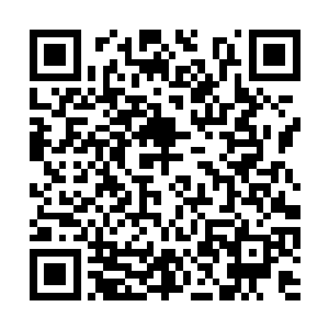 而是那上面悬挂的九颗晶莹剔透中微微泛红的玉果二维码生成