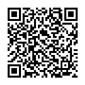 而是那个不知道出于什么目的而安排一个棋子九年的二维码生成