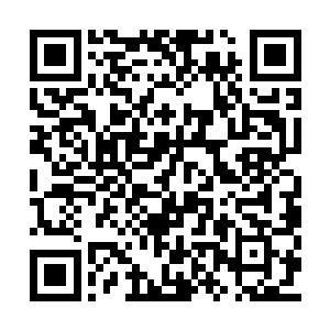 而是那些被他击溃的力量重新回到了楚旬的体内二维码生成