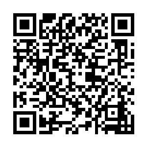 而是雨果和桑德拉真正共进晚餐之后被爆料出来的新闻二维码生成