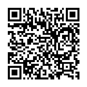 而是需要一个更加强大的武装力量才能真正保护那些弱势群体二维码生成
