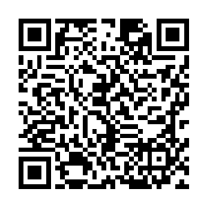 而是震惊洛倾婉一个名满京都的蠢货怎么能打败一个修炼者二维码生成