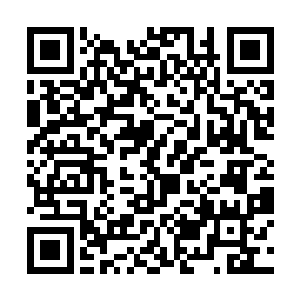 而是高兴九原的两座学校有了你们这些高阶战士导师二维码生成