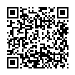 而显得有些不太匀称的虎魄刀给直接压制在了手中二维码生成