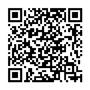 而晏子歌这些人却是铁了心要给背后之人完成任务而来的二维码生成