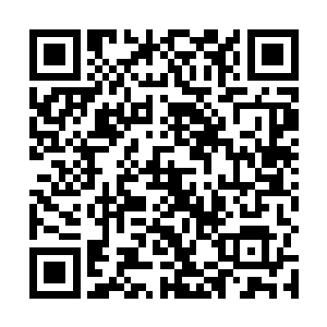 而晏季晟见大哥和大嫂之间没有刚才剑拔弩张的气氛后二维码生成