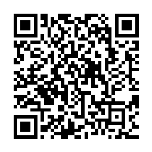 而曦燃很显然也被眼前场景弄懵了……所有一切阴谋被当场戳破二维码生成