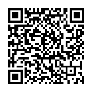 而更加吸引伊莎蓓尔目光的却是出自那个帝国的精锐战士二维码生成