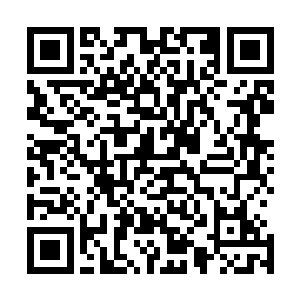 而最初因为白雾消失从而激动的探出神识迅速查看的选手们二维码生成