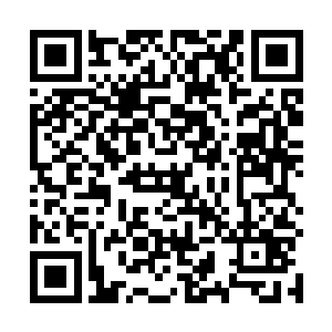 而最开始逃离出去的博连城城主正在向冷月域深处飞去二维码生成