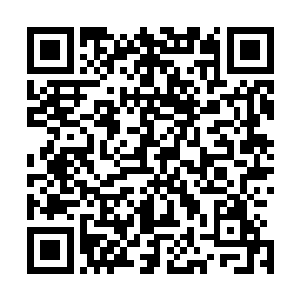 而最诡异的场面再次发生――他的整条手臂足足轰进去两尺二维码生成