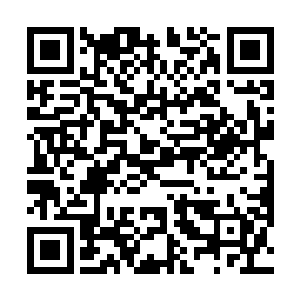而有的人在经历数次重生甚至委托玩家为自己人生逆袭二维码生成