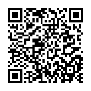 而木珠和木娜还可以再通过木灵一族的秘术将这些数字增加二维码生成
