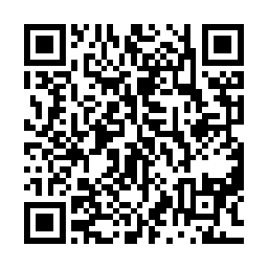而本来一直盖着头巾的洛水嫣更是直接伸手掀开了自己的头巾二维码生成