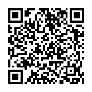 而朱颜对于琴瑟色不太熟知仙魔战场也不以为意二维码生成