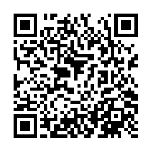 而李旭东就一直坐在巴克旁边的座位上眯着眼打盹二维码生成