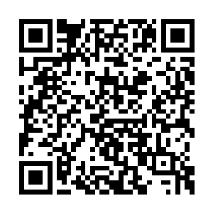 而杨召青则充当了绿婆婆和苗毅之间跑腿的角色二维码生成