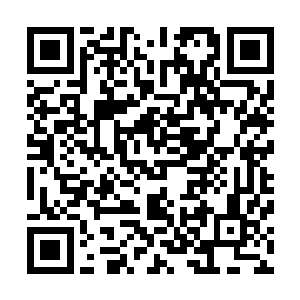 而杨庆这个时候本就对鬼市的一举一动处在高度警觉状态中二维码生成