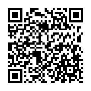 而杨开的丹道真解和炼丹炉紫虚鼎就是在那个时候获得的二维码生成