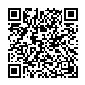 而杨晨和赵羽以及其他五人也一直在和炼虚境界的战斗二维码生成
