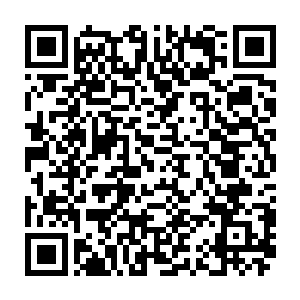 而杨晨等人则围成一圈施展出一道强大的灵力屏障将爆炸的余波抵挡在外面二维码生成
