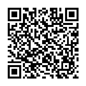 而杨洛的这些长辈对贝音瑶的谈吐举止还有气质相当满意二维码生成