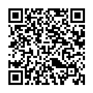 而林光山跟赵诗文到达魔都的时候已经是深夜11点了二维码生成