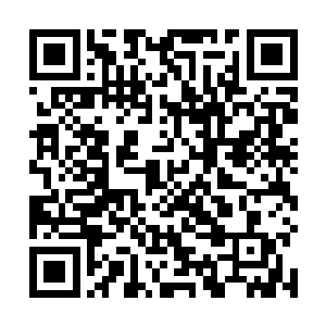 而林封谨他们这一群人可能在半个时辰内就搞定一切吗二维码生成