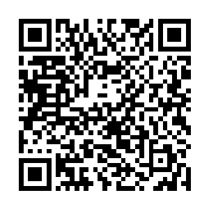 而林烽现在就是依靠这愿力丹当中蕴含的这庞大的愿力二维码生成