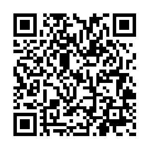 而林辰同样是不敢相信的看了看山峰之上的建筑二维码生成