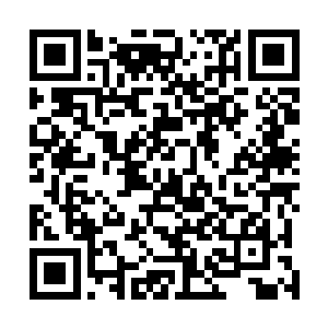 而柳飞燕在僵持了那么一小会便是任由苏宁妃将杨奇拉走二维码生成
