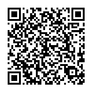而桌面上这些眼花缭乱的剧本让雨果又再一次感受到了他对演技的渴望二维码生成