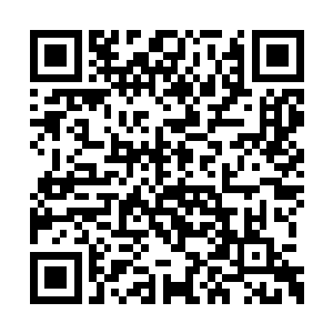 而梁栋来了撒旦之后也一直没时间试试他的身手二维码生成