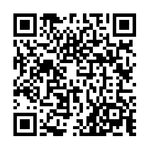而梅芸芸的脸硬是被莫小鱼舔的这里少一块那里少一块的二维码生成