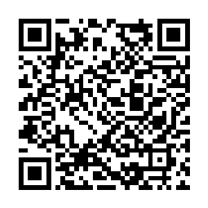 而梅香除了遗憾还有一丝紧张却又快速的隐匿不见二维码生成