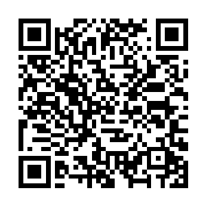 而梵奇和青竹之前在人间历练的时候又太过肆无忌惮二维码生成