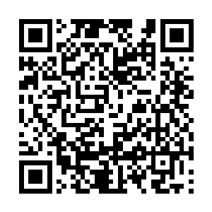 而楚暮的经脉强度比一般的剑气境七段更强韧许多二维码生成