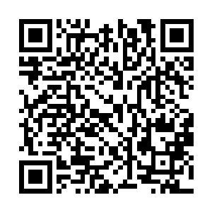 而楚阳和白面则看着眼前的叶秋和赵怡相处的状态二维码生成