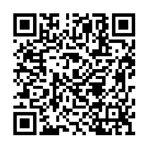 而樱花社官网发布的诸星大的人设是比较强壮的二维码生成