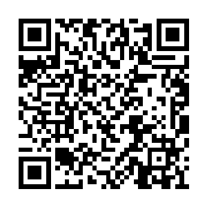 而正义之都的板块正在渐渐的向新人类区域靠拢二维码生成