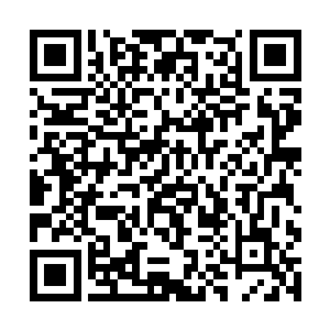 而此刻吴虎臣却早已经帮猪不能治疗好了身上的伤势二维码生成