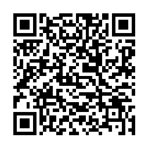 而此刻天尊很显然是想要当众说出希望之火的秘密二维码生成