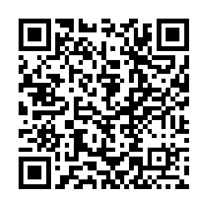 而此刻整个森林内却是早已站满了几乎数百名修武者二维码生成