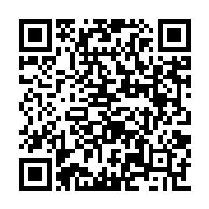 而此刻的我站在距离这个露台约莫有百米的距离二维码生成