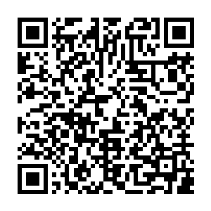 而此刻的连云子也许是因为力竭了抱着欣欣在空中踉跄了一下朝着地上掉落二维码生成